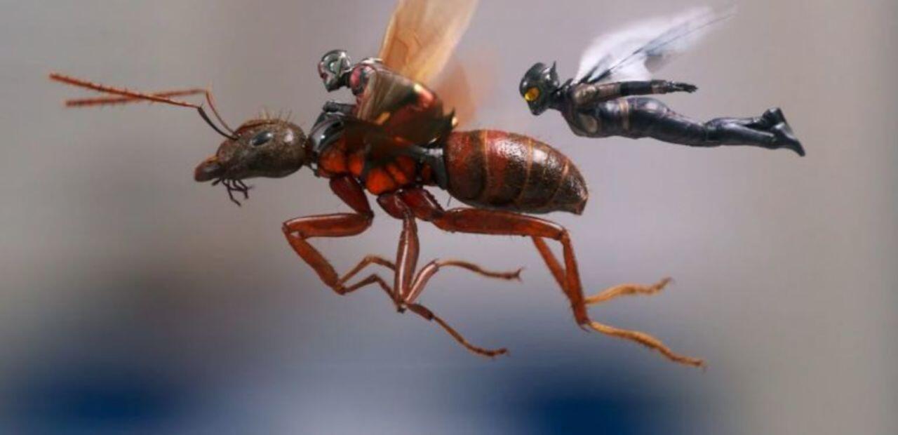 'Ant-Man and the Wasp' Microscopic Quiz