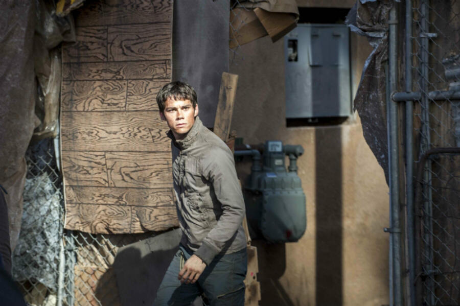 Maze runner in chinese shop