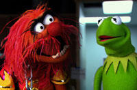 All the Celebs Who Appear in the Teaser Trailer for 'Muppets Most Wanted'