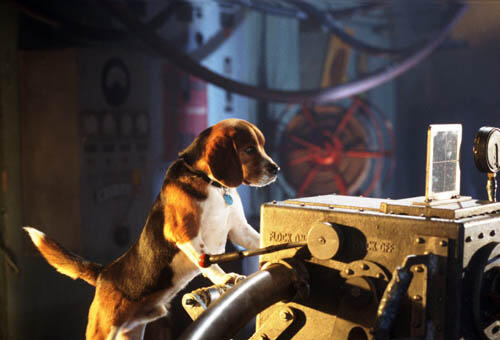 All About Animals: Our Favorite Flicks with Cuddly Creatures