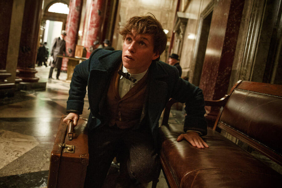 ‘Fantastic Beasts and Where to Find Them’ Set Visit, Part 3: The Beasts
