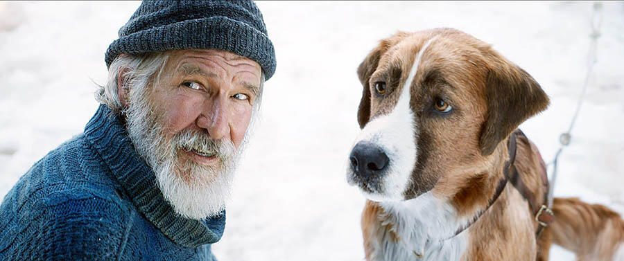 Next 3 Exciting Family Adventures: 'Onward,' 'Mulan,' 'Peter Rabbit 2: The Runaway'