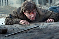 You Rate the New Releases: ‘Harry Potter and the Deathly Hallows: Part 2’