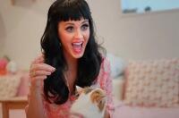 Which Musical Artist Should Follow Katy Perry and Release a 3D Concert Film?