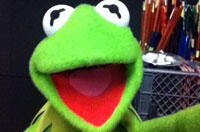 Kermit and 'The Muppets Most Wanted' Snap into Selfie Trend
