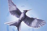 'The Hunger Games' Hires Familiar Face to Direct Two 'Mockingjay' Movies