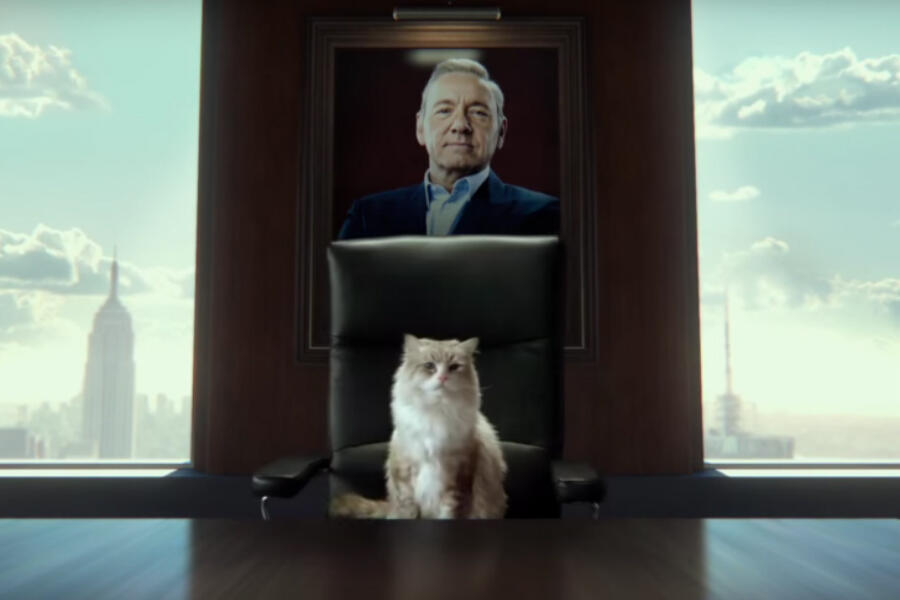 Watch Kevin Spacey As a Cat in 'Nine Lives' Trailer | Fandango