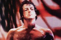 Sylvester Stallone Adapting 'Rocky' Into a Broadway Musical