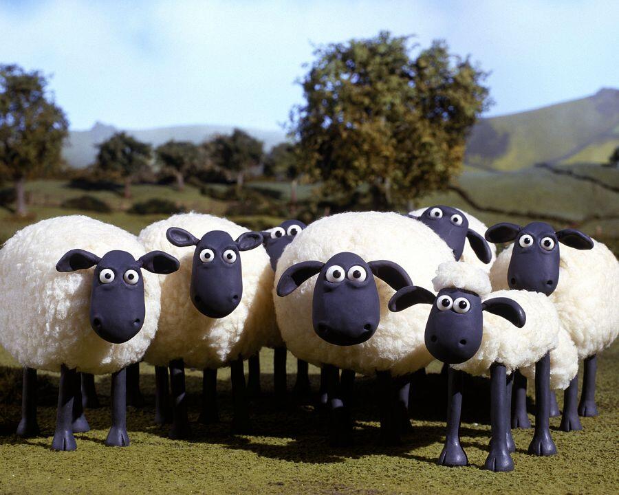 How Movies Made My Family Vegetarians