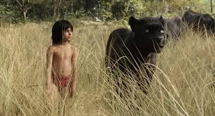 The Law of the Jungle