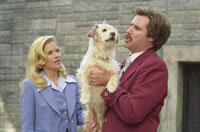 'Anchorman 2' Plot Details, NWA Biopic Gets Director, Mark Wahlberg in John Grisham Adaptation