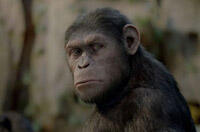 Exclusive Comic-Con Clip: 'Rise of the Planet of the Apes'