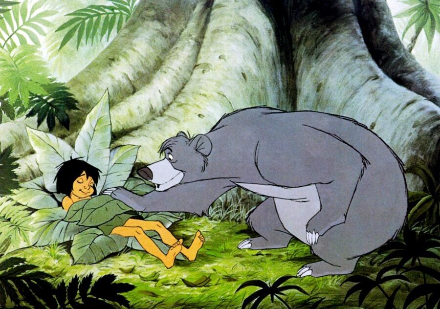 What Bear Movie Is Best for Your Family?