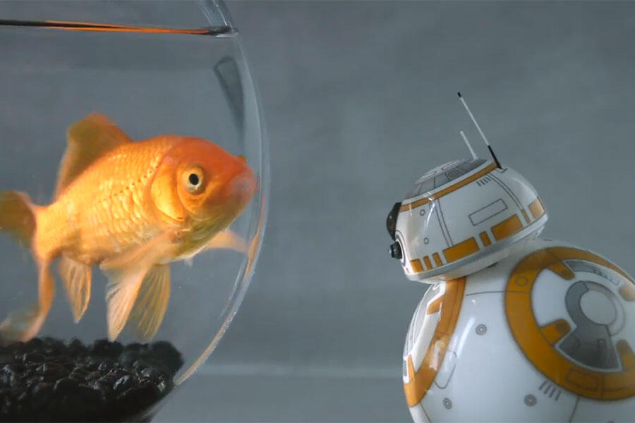 remote control goldfish