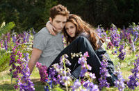 Fans Vote 'Breaking Dawn" Most Anticipated Fall Movie, 'Les Miserables' To Sweep Oscars