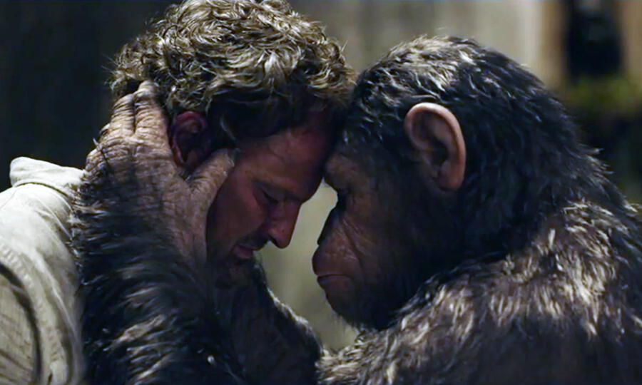 Watch Here's What Happened Between of the Apes' Movies Fandango