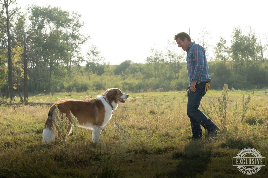 Exclusive 'A Dog's Journey' Featurette: Joy of Dogs, As Explained By Humans