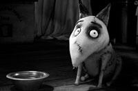 Film Mom: Getting Kids to See Quality Movies Isn’t Always Black and White