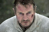 You Rate the New Releases: ‘The Grey,’ ‘One for the Money’ and ‘Man on a Ledge’
