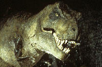 Daily Recap: 'Apes' Writers To Craft 'Jurassic Park 4' Script, New 'Hotel Transylvania' Trailer