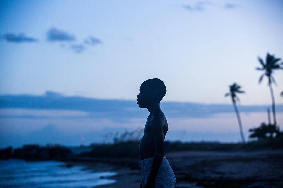 Indie Movie Guide: Why You Should See 'Moonlight' and 'The Handmaiden'