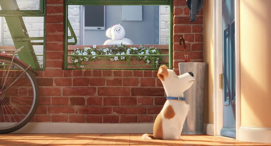 Watch: The 'Despicable Me' Humans Bring Us 'The Secret Life of Pets' Trailer