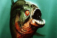 Which Celebrity Would You Like to See Killed in 'Piranha 3D' Sequel?