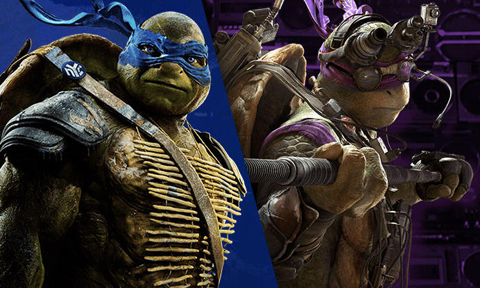 Which Ninja Turtle Hero Are You?