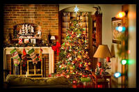 New 'Twilight: Breaking Dawn' Image Reveals How Bella Swan Celebrated Christmas