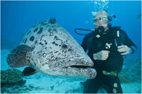 Day 59: 'Under the Sea 3D'