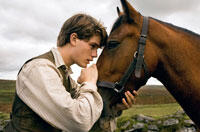 DVD of the Week: 'War Horse' - Plus Giveaway!