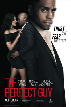 The Perfect Guy Synopsis Fandango