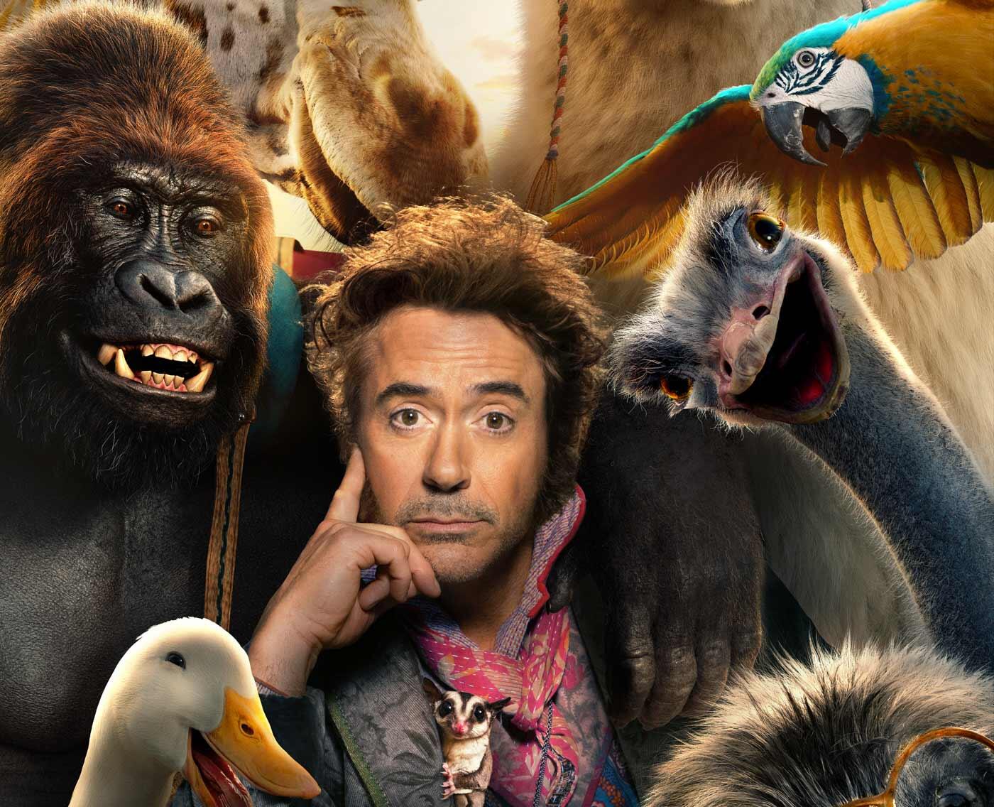 Dolittle Fandango Dolittle Fandango