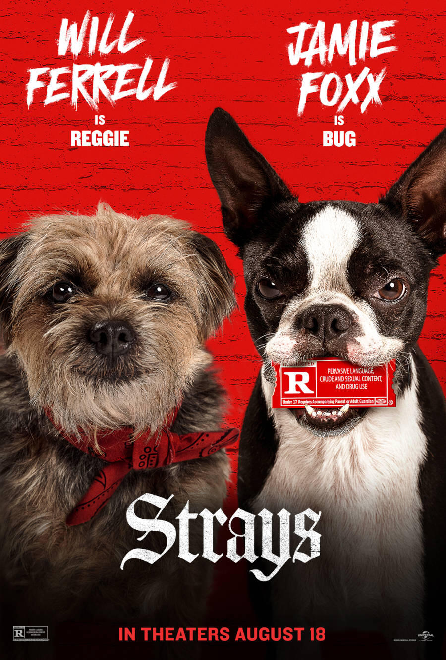 Strays (2023) Movie Tickets & Showtimes Near You | Fandango