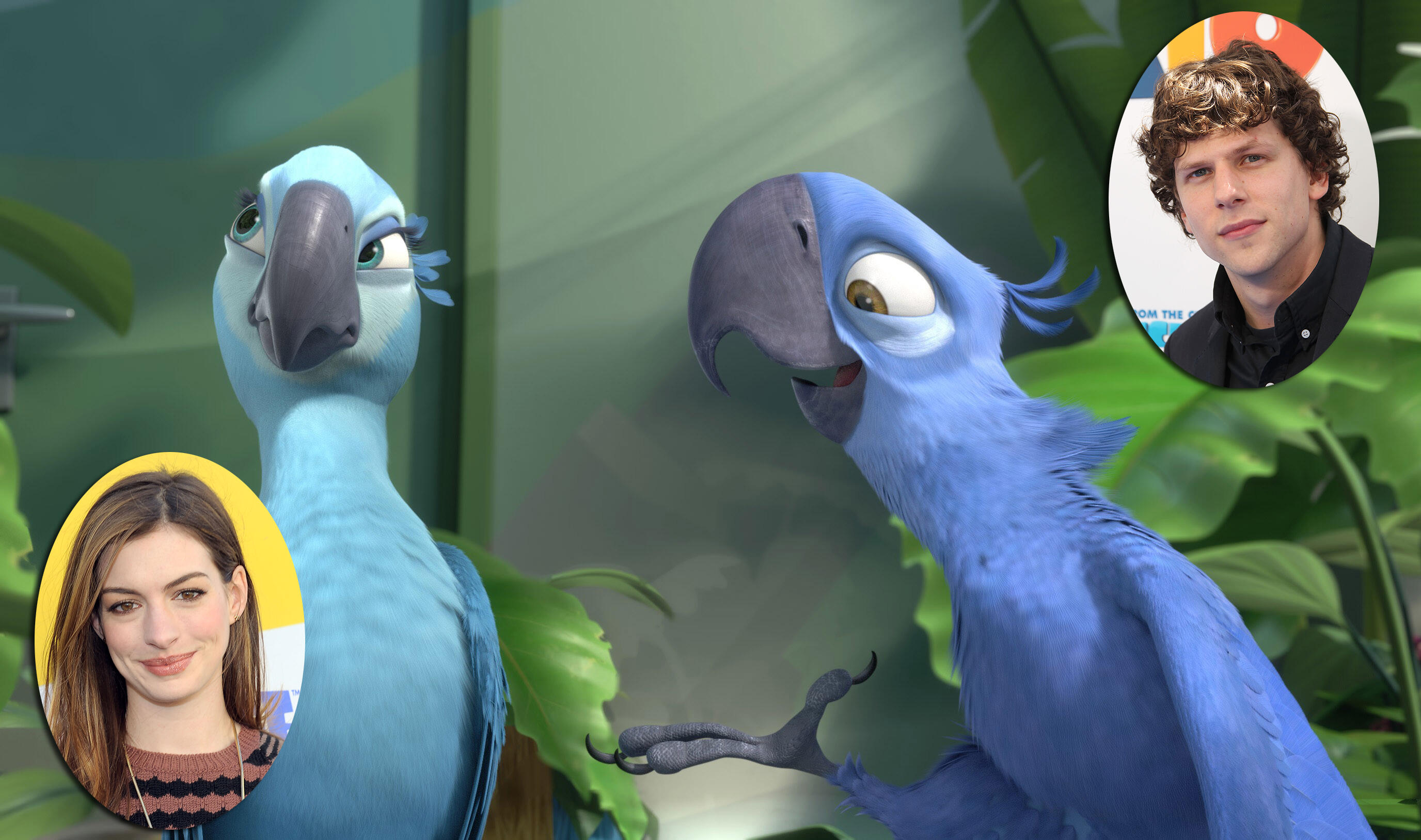 Squawk Talk Who Voiced These Movie Birds Fandango