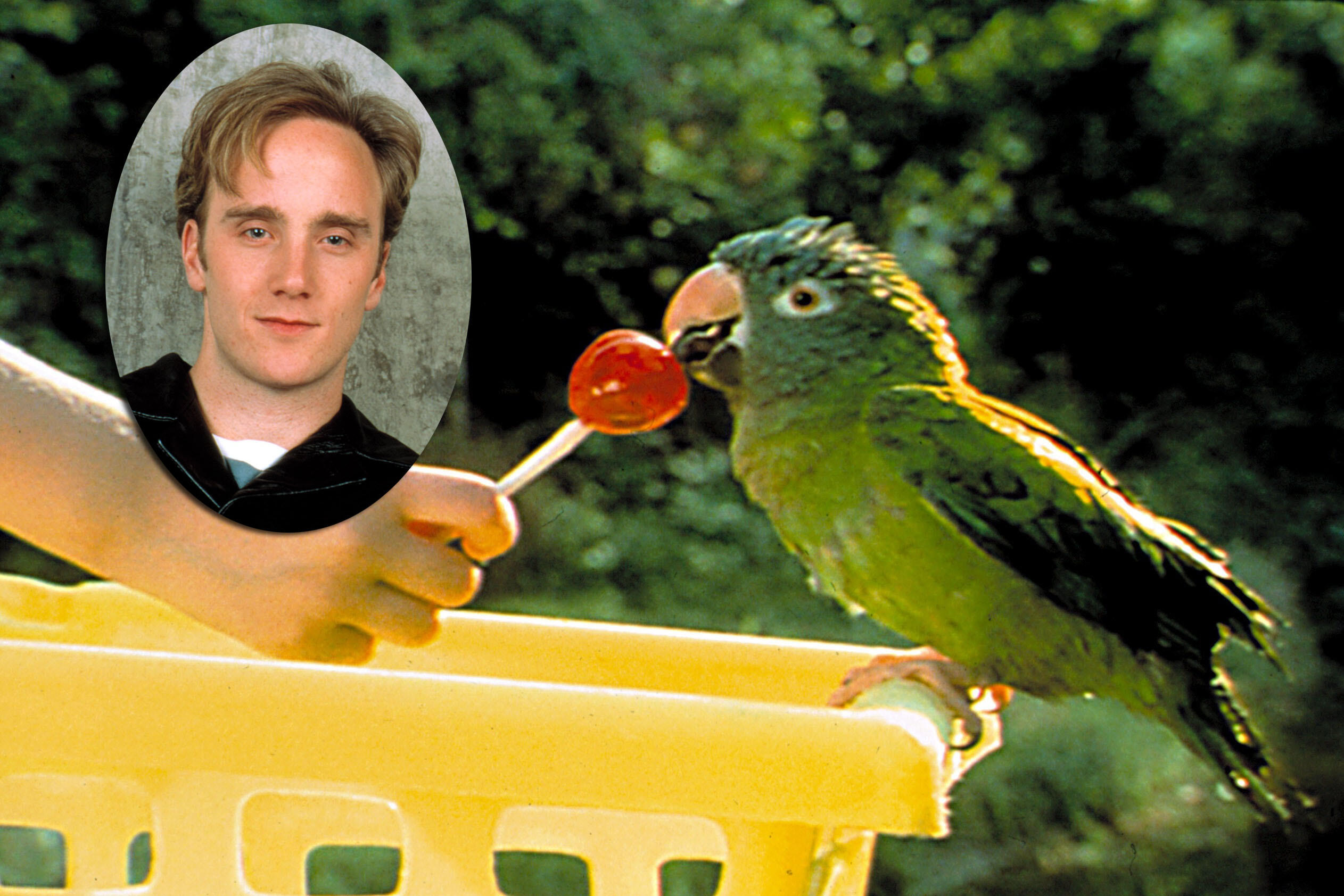 Paulie the parrot movie download free