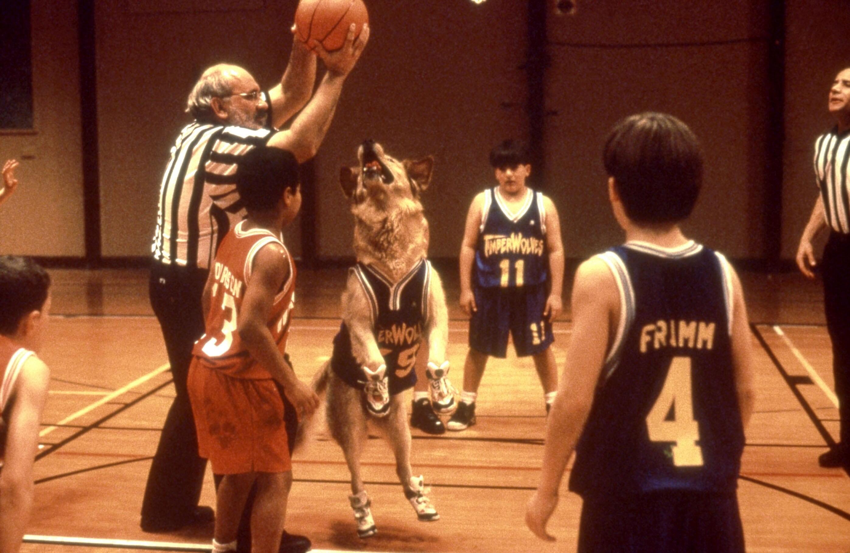 The Best Basketball Movies Fandango