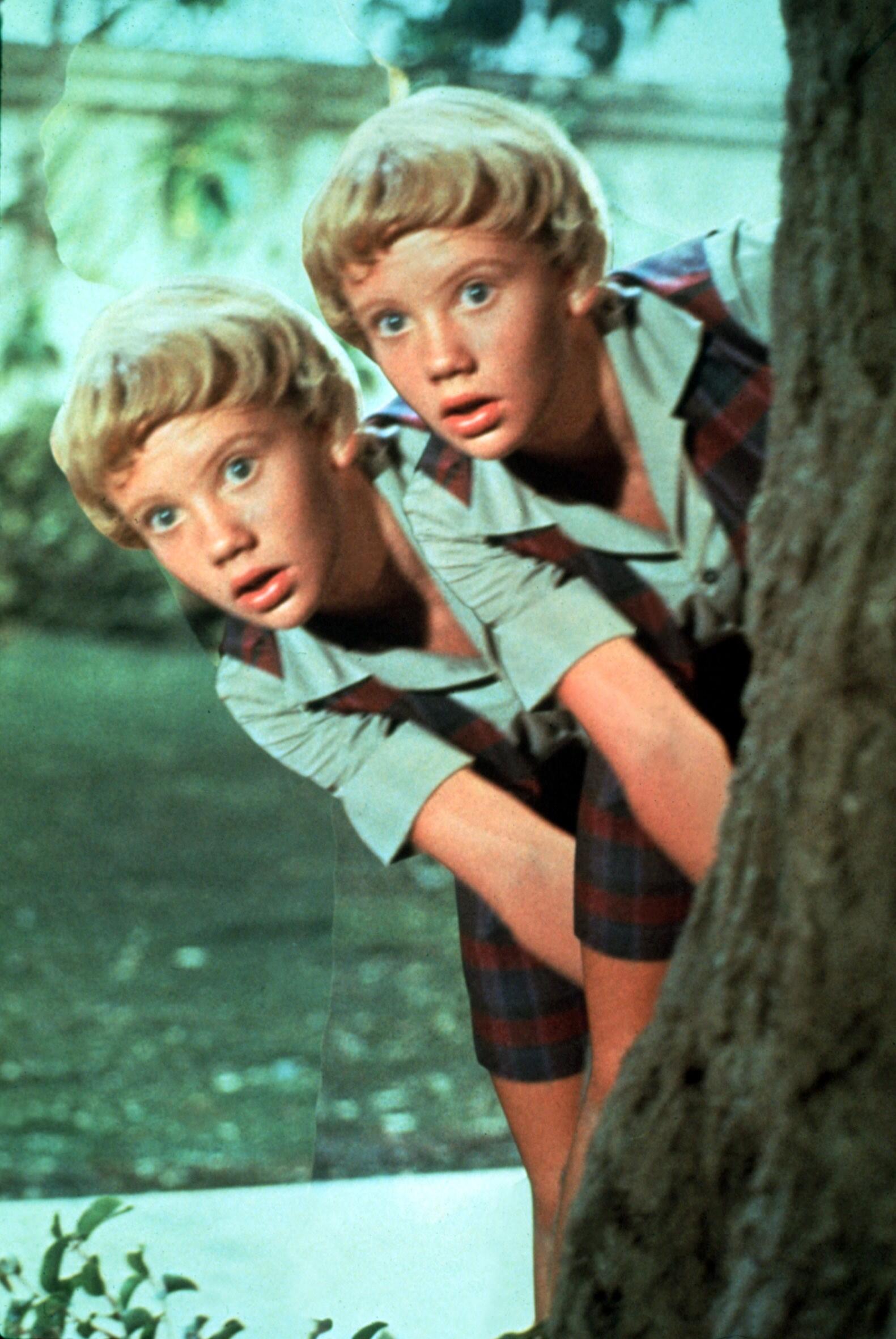 What are the films about large families What are the films about large families