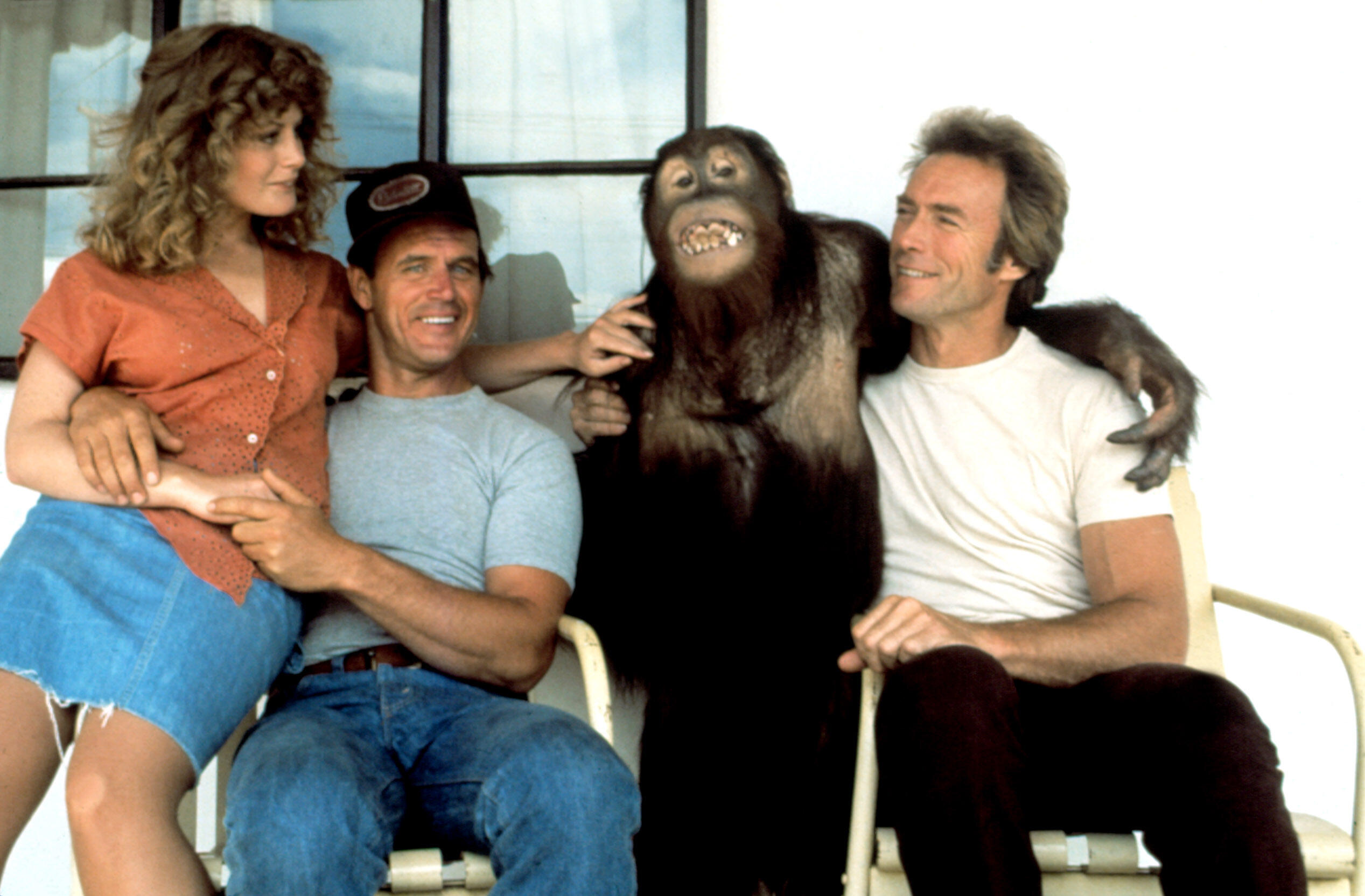 The Evolution of Monkey Movies Fandango