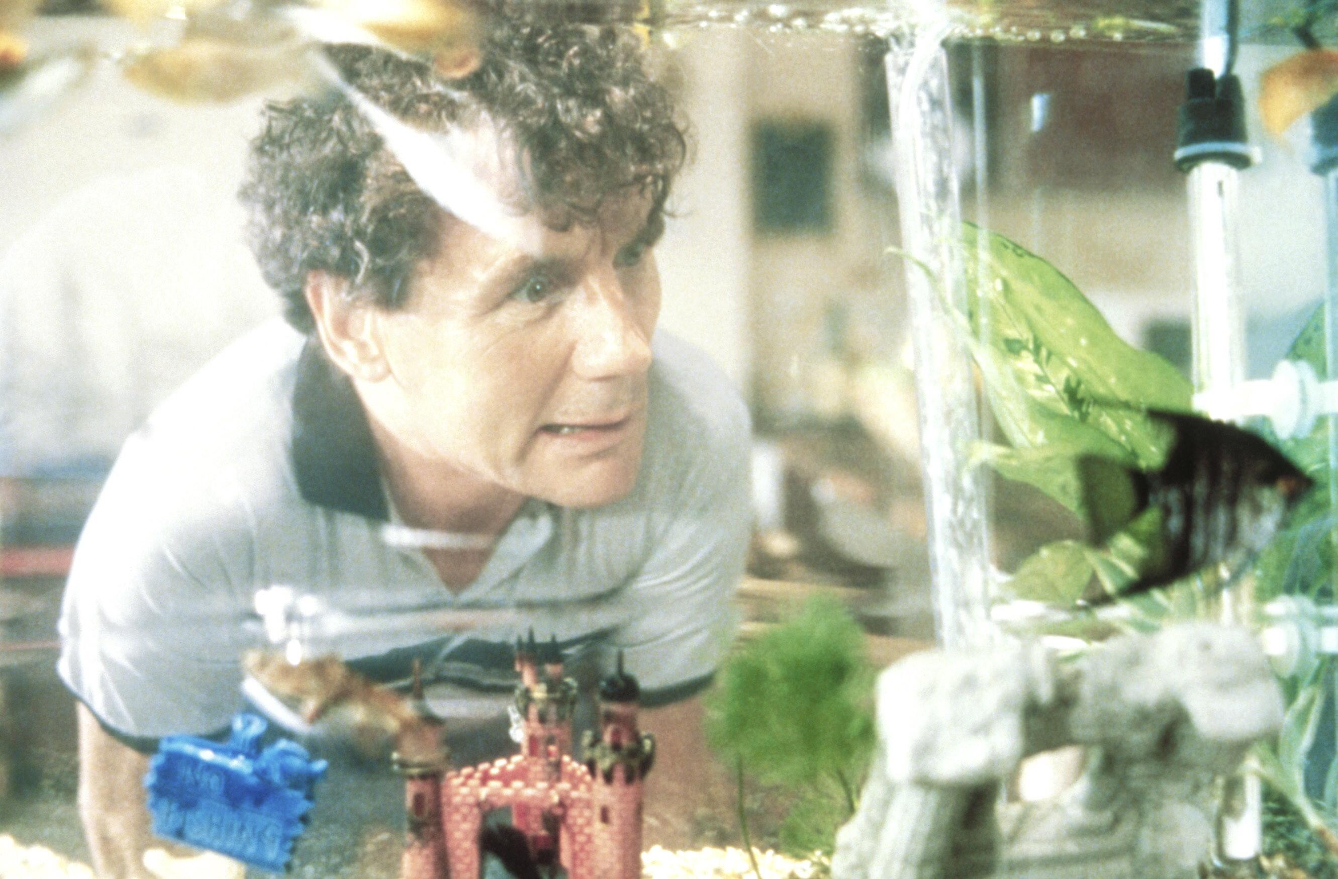Top 10 Fish Films Fandango