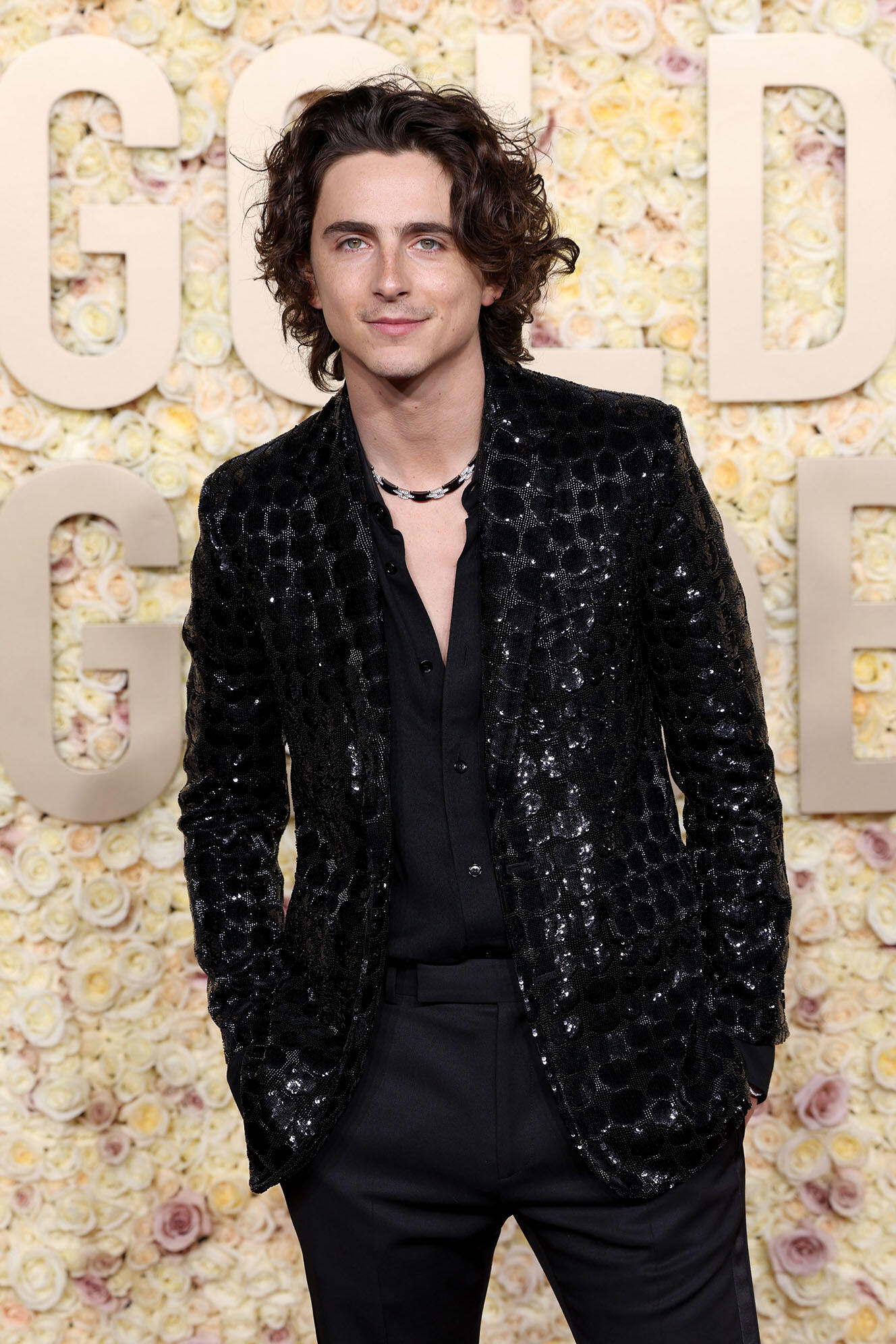 2024 Golden Globes Red Carpet Fandango