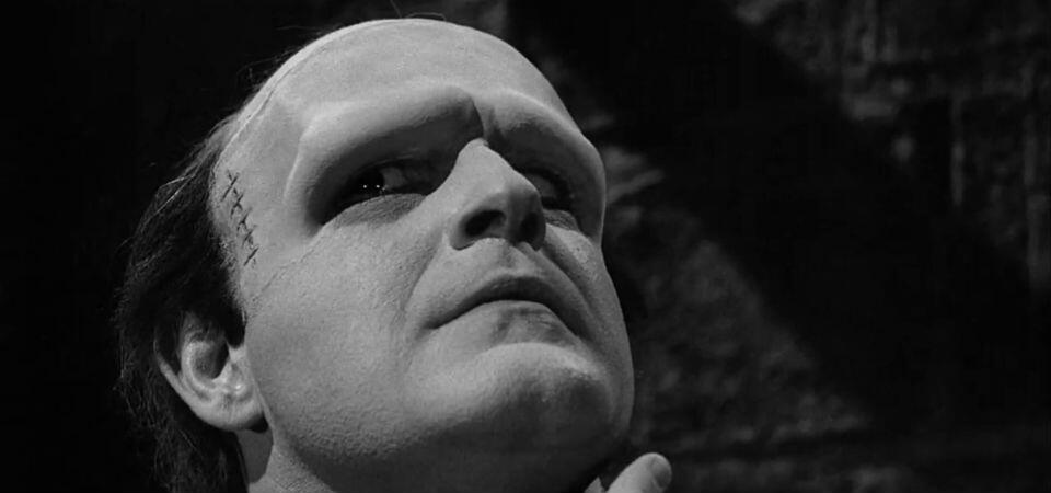 evolution of frankenstein Frankenstein - how does the monster change during the novel 'frankenstein' is one of the typical examples of that time which portrays the effects of these changes. evolution of frankenstein Frankenstein - how does the monster change during the novel 'frankenstein' is one of the typical examples of that time which portrays the effects of these changes.