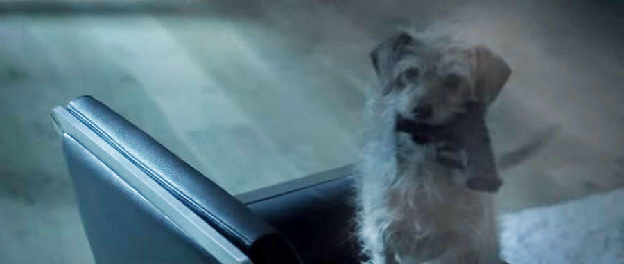 The 'Dog Wick' Trailer Is Exactly What You Want It to Be