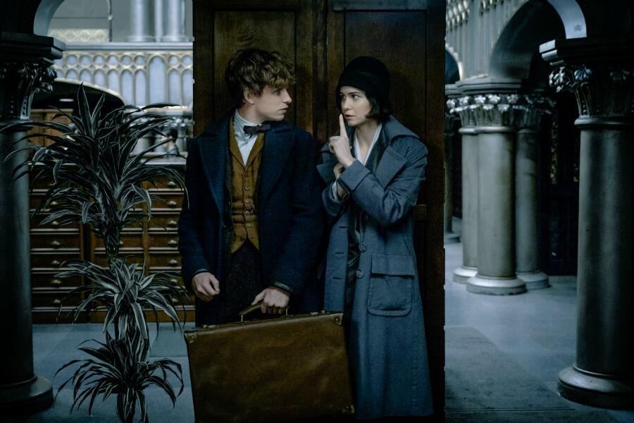 Katherine Waterston Says She’s in All of the ‘Fantastic Beasts’ Movies