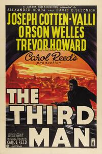 The Third Man / The Fallen Idol Movie Poster