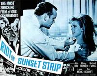 Riot on Sunset Strip / The Pad (And How to Use It) Movie Poster