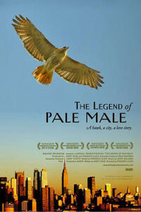 The Legend of Pale Male Movie Poster