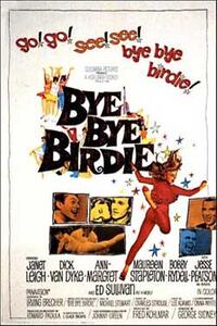 Bye Bye Birdie Movie Poster