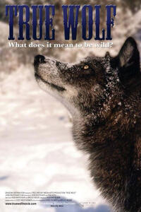 True Wolf Movie Poster