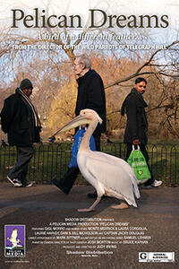 Pelican Dreams Movie Poster
